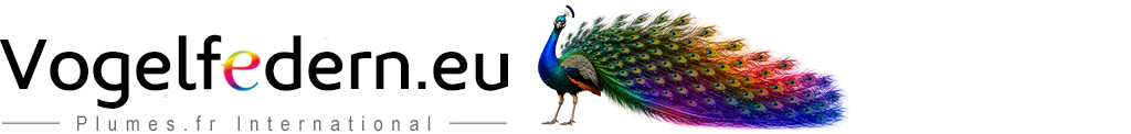 Vogelfedern.eu