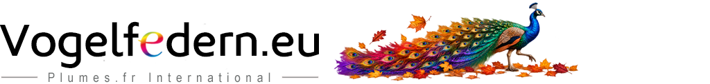 Vogelfedern.eu Vogelfedern.eu