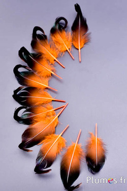50 Bastelfedern Orange, Ca. 10 Cm – Weiche Schmuckfedern Für Deko & Partys
