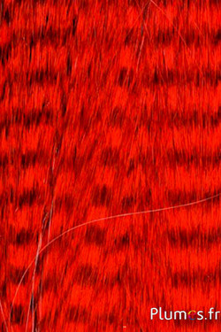 Knstliche Strhnen - Vogelfedern Extensions - Plumes.fr