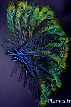 Amakando 50 Bastelfedern Blau – Ca. 10 Cm, Deko-Federn Für Karneval, Party & Schmuck
