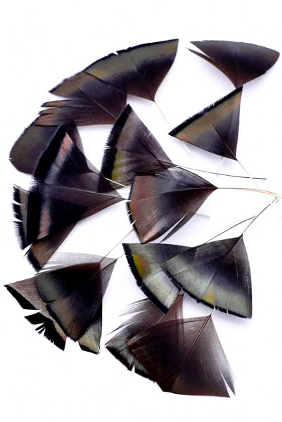 Federblütenblätter