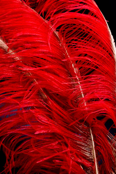 Entdecken Sie die Neuheiten