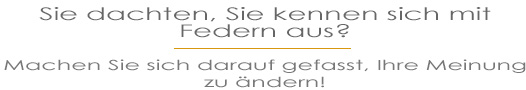 Sie dachten, Schmuckfedern zu kennen? Machen Sie sich darauf gefasst, Ihre Meinung zu ändern.